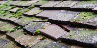 Luton roof repair costs